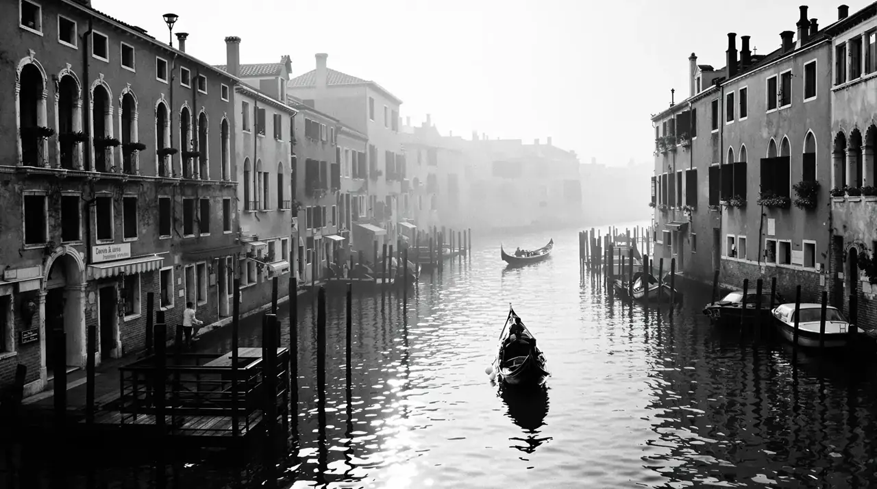 威尼斯国际电影节 · Venice Film Festival 威尼斯国际电影节